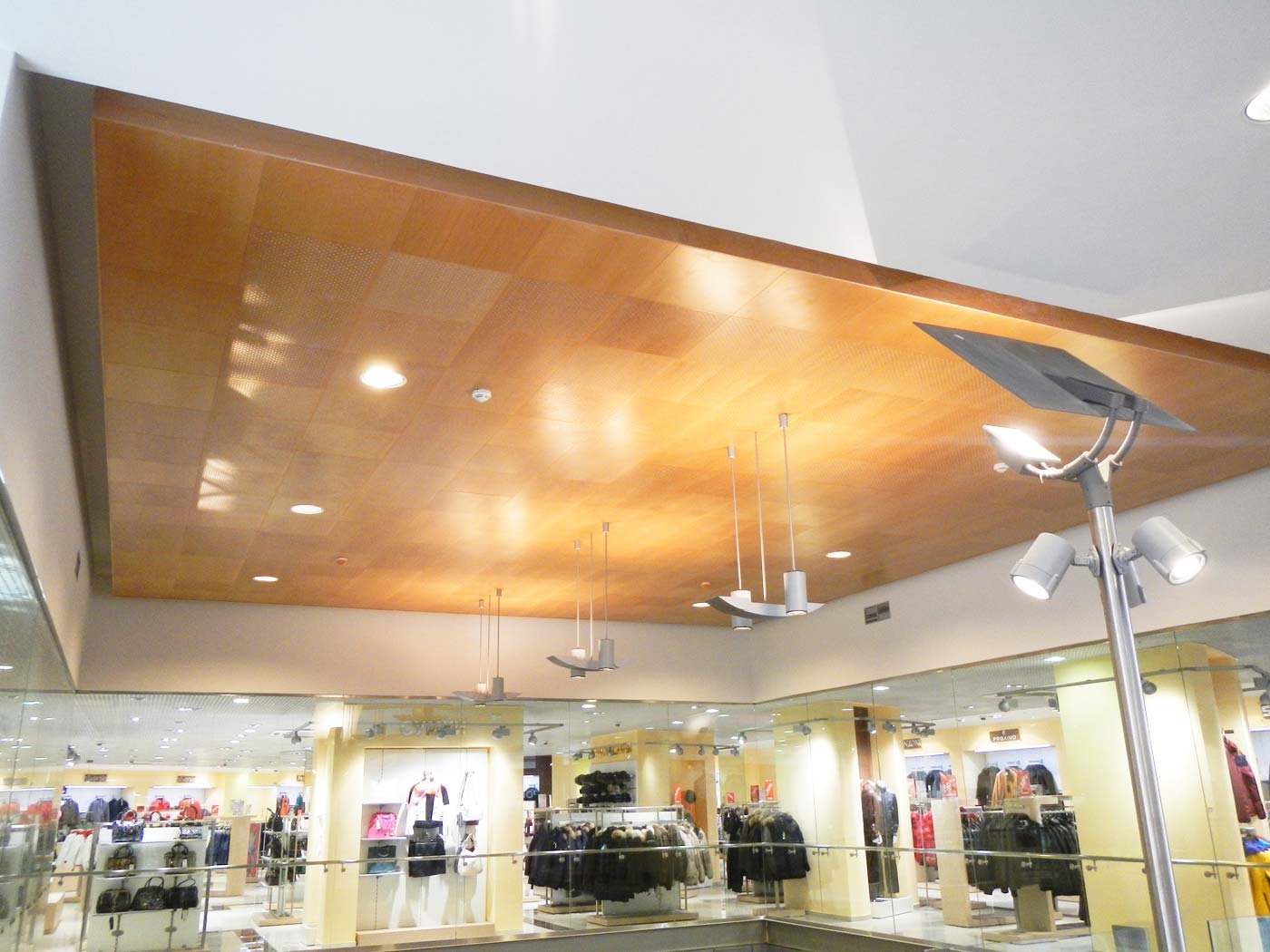 Case-Goodzone-katto-pien