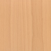 Beech veneer