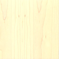 Maple veneer