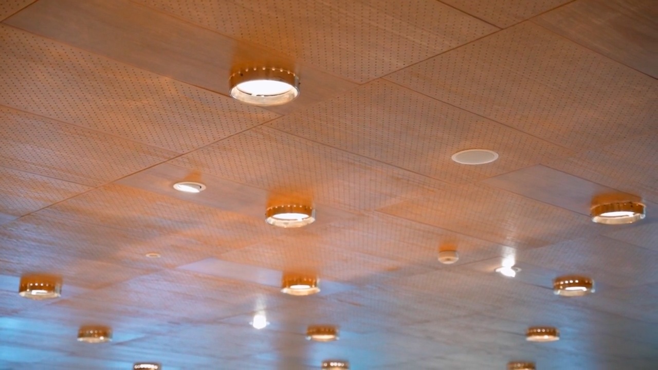 Ceiling with acoustic perforation